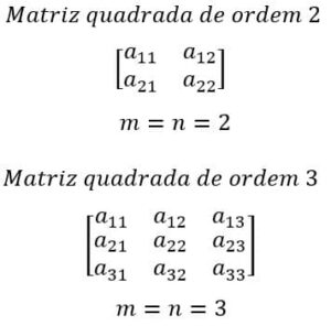 Tipos De Matrizes - Classificação Além Dos Cálculos