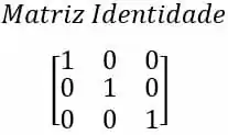 tipos de matrizes. matriz identidade