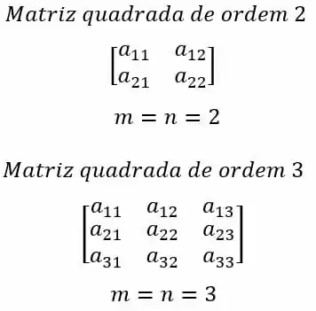 tipos de matrizes. matriz quadrada